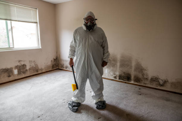 HVAC Mold Remediation